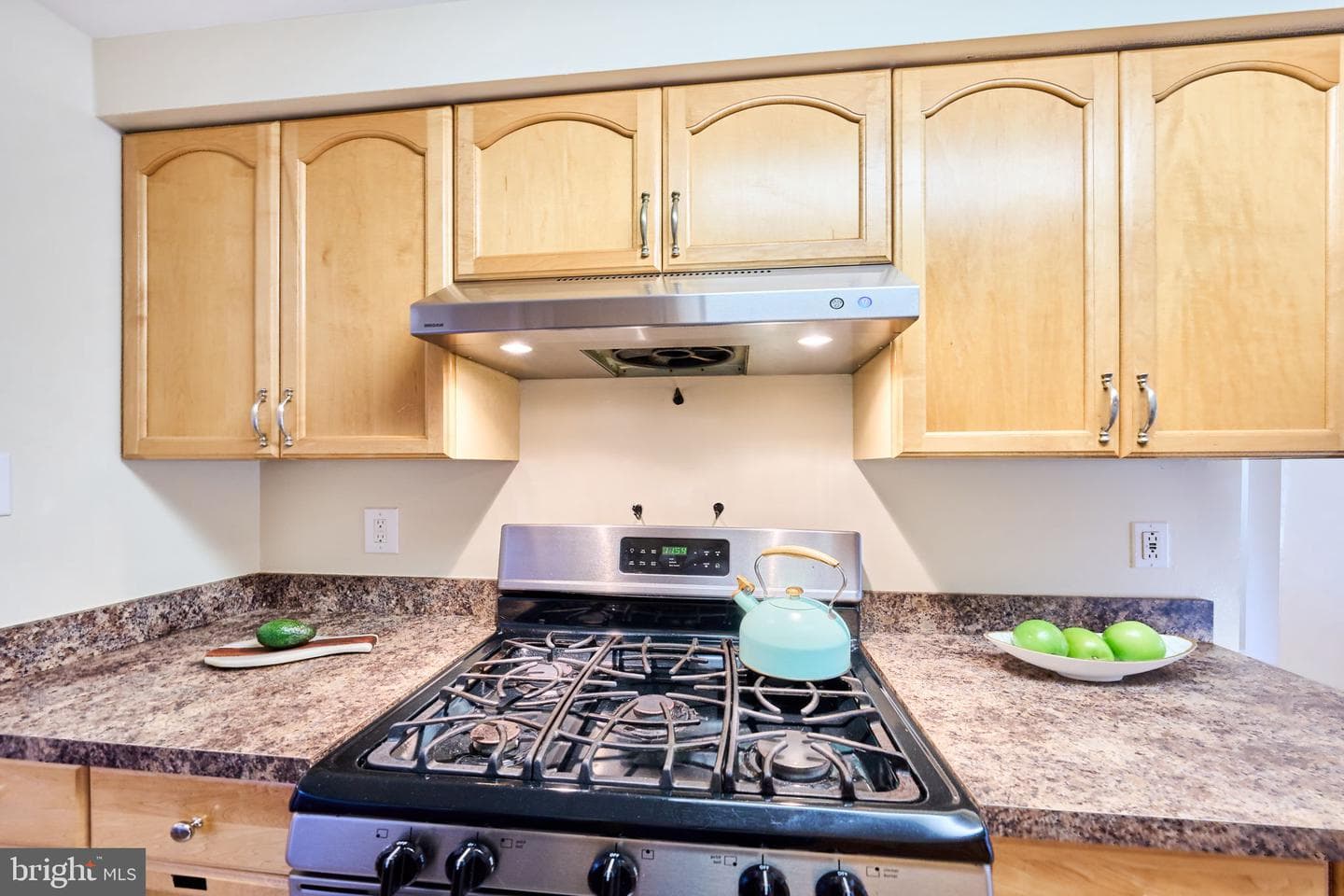 14329 Watery Mountain Court photo 26
