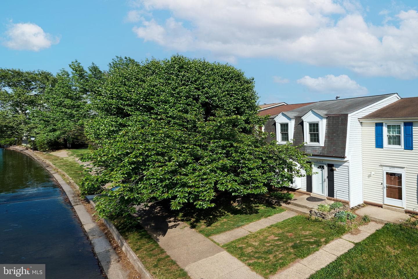 14329 Watery Mountain Court photo 8