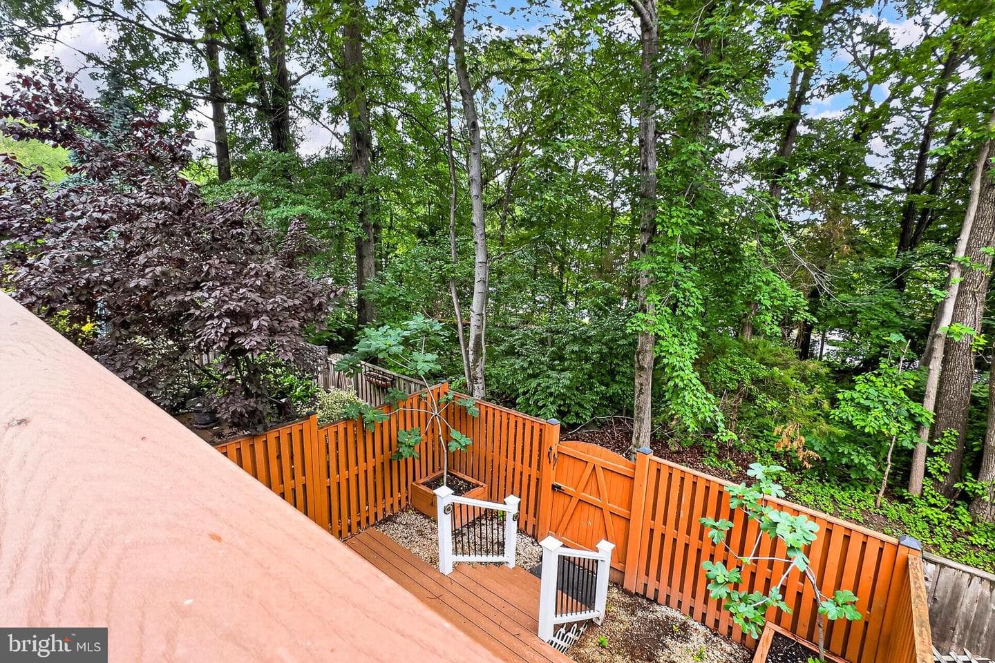 7451 Hatherleigh Court photo 43