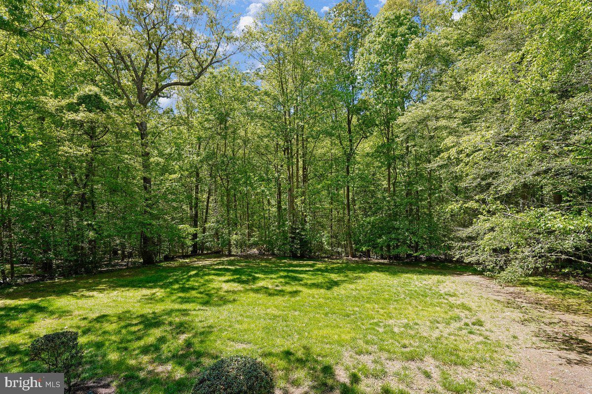 188 River Park Drive photo 67