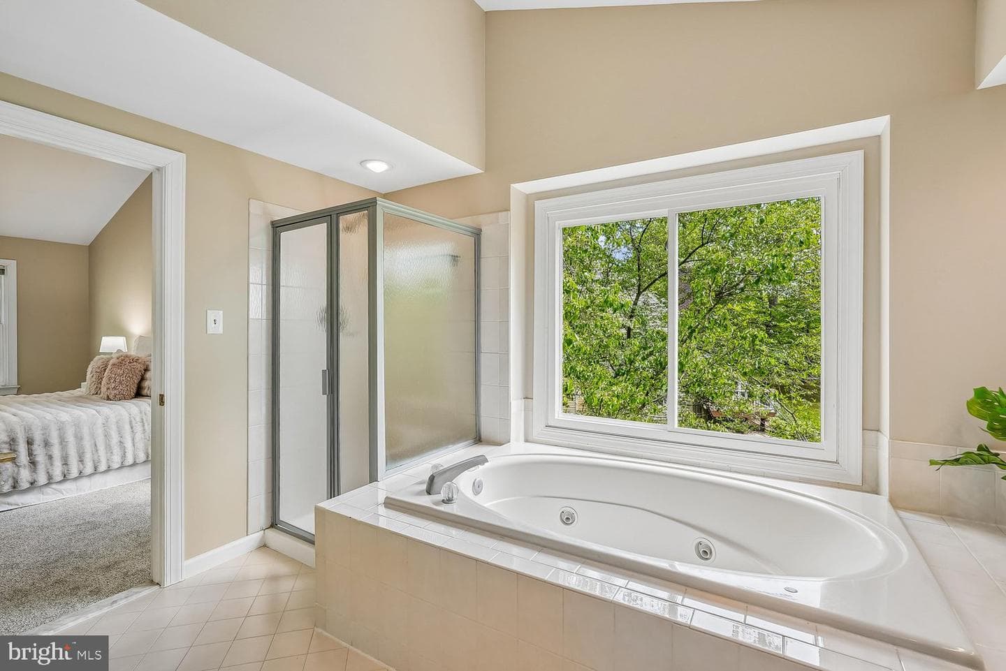 13113 Willow Edge Court photo 32