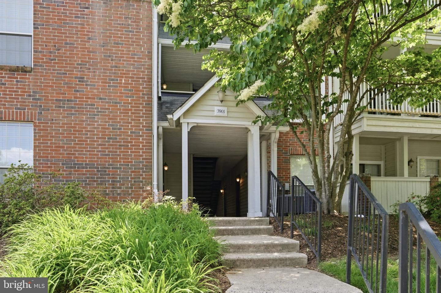 3901 Penderview Drive #1534 photo 2