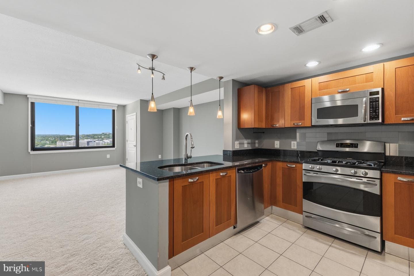 2451 Midtown Avenue #1520 photo 8