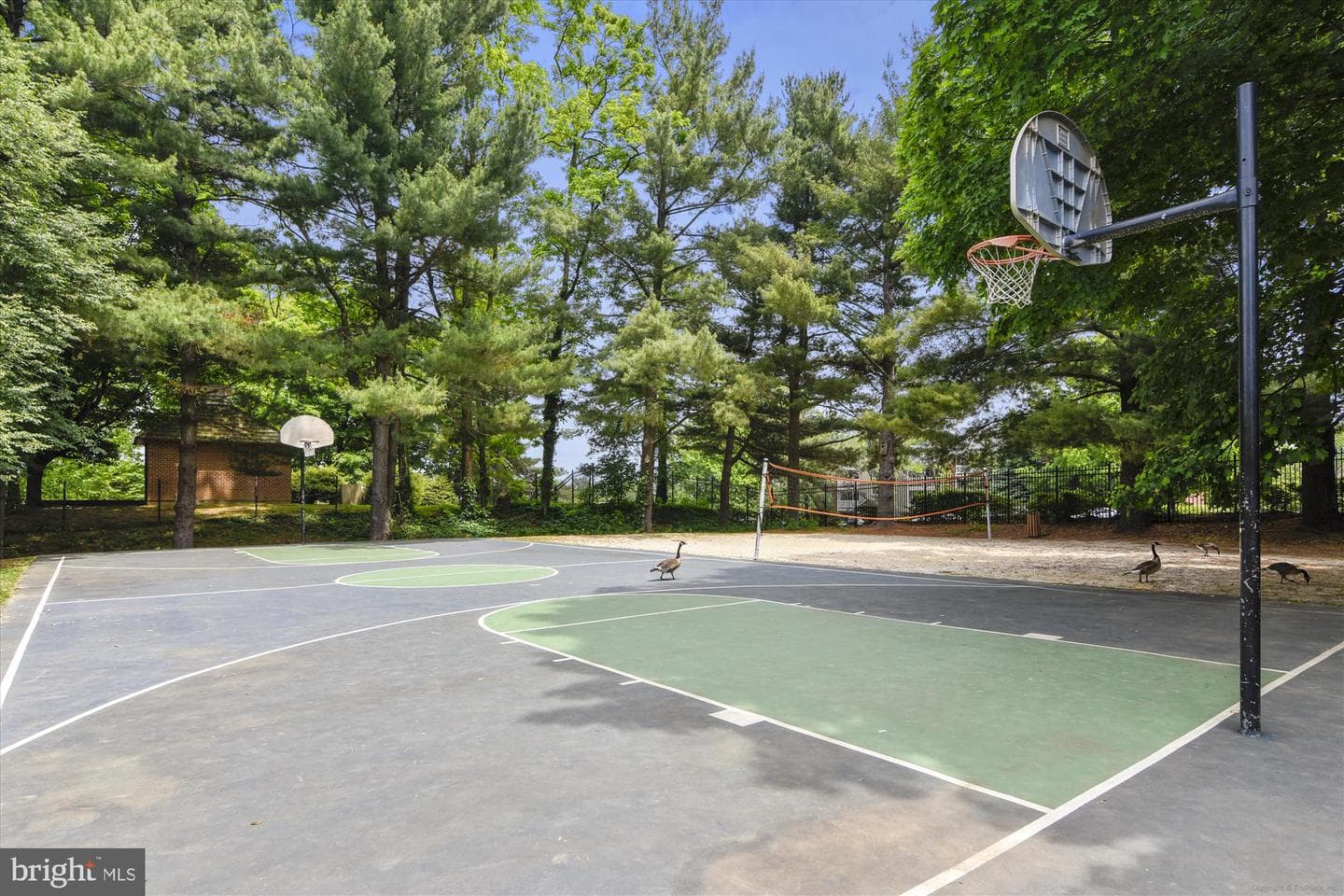 8360 Greensboro Drive #926 photo 50