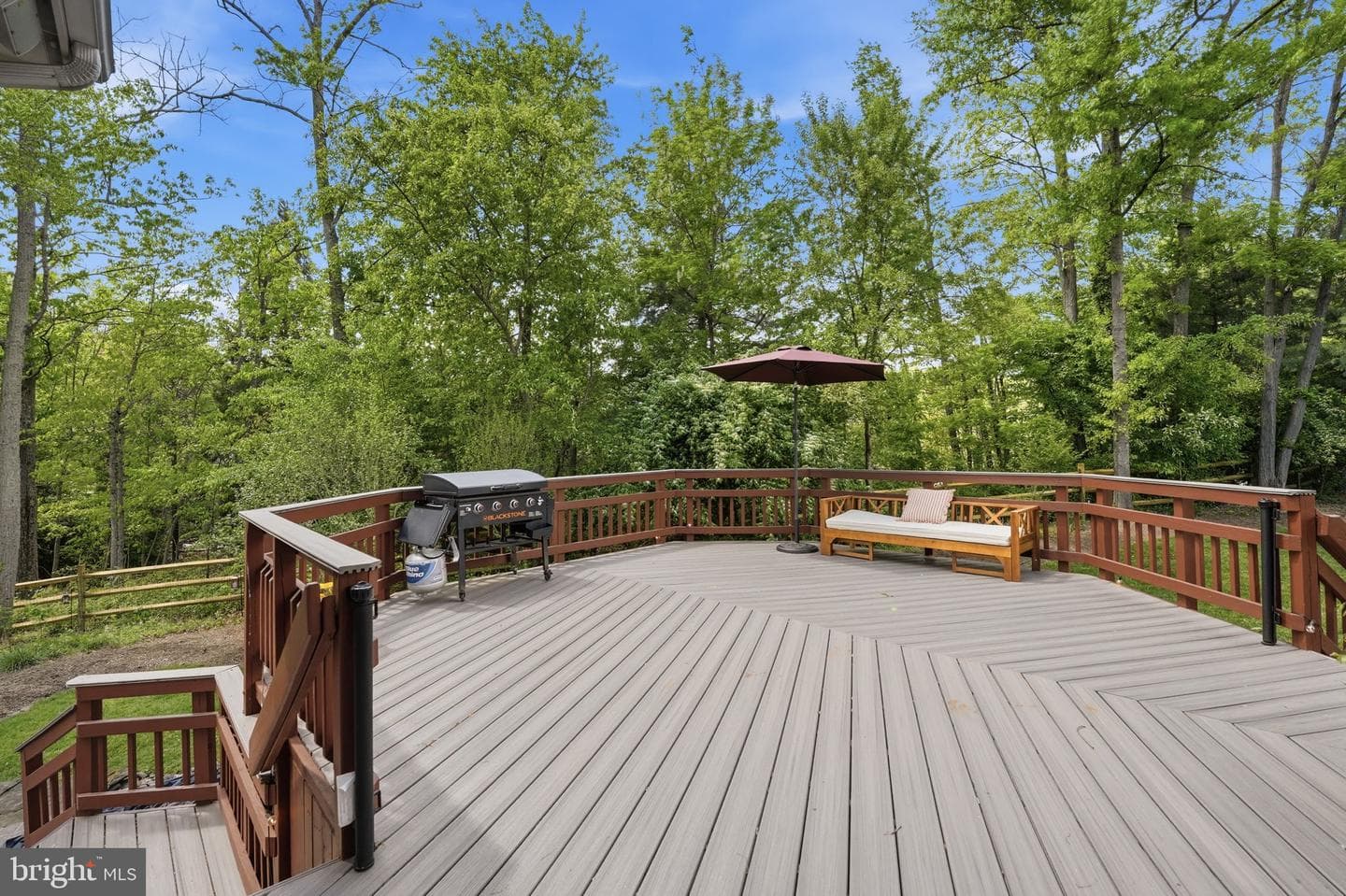 1605 Lupine Den Court photo 92