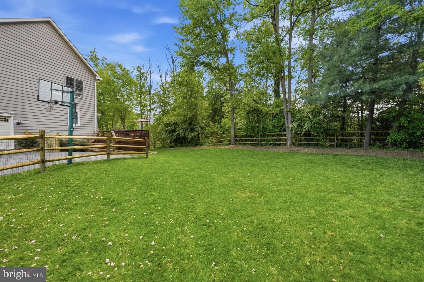 1605 Lupine Den Court photo 98