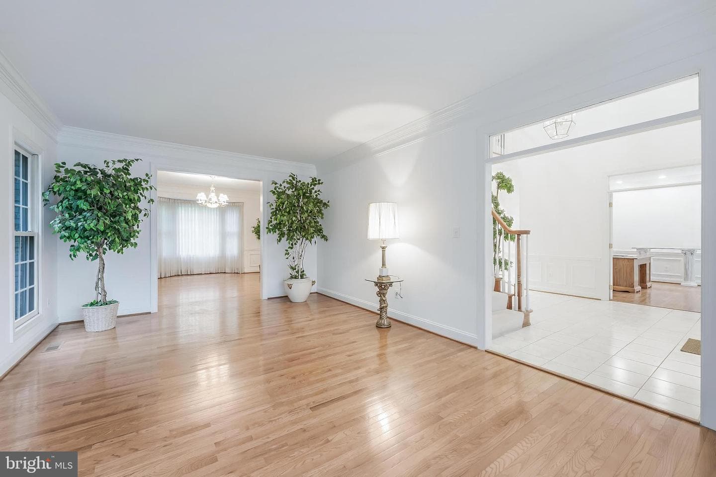 1051 Northfalls Court photo 11