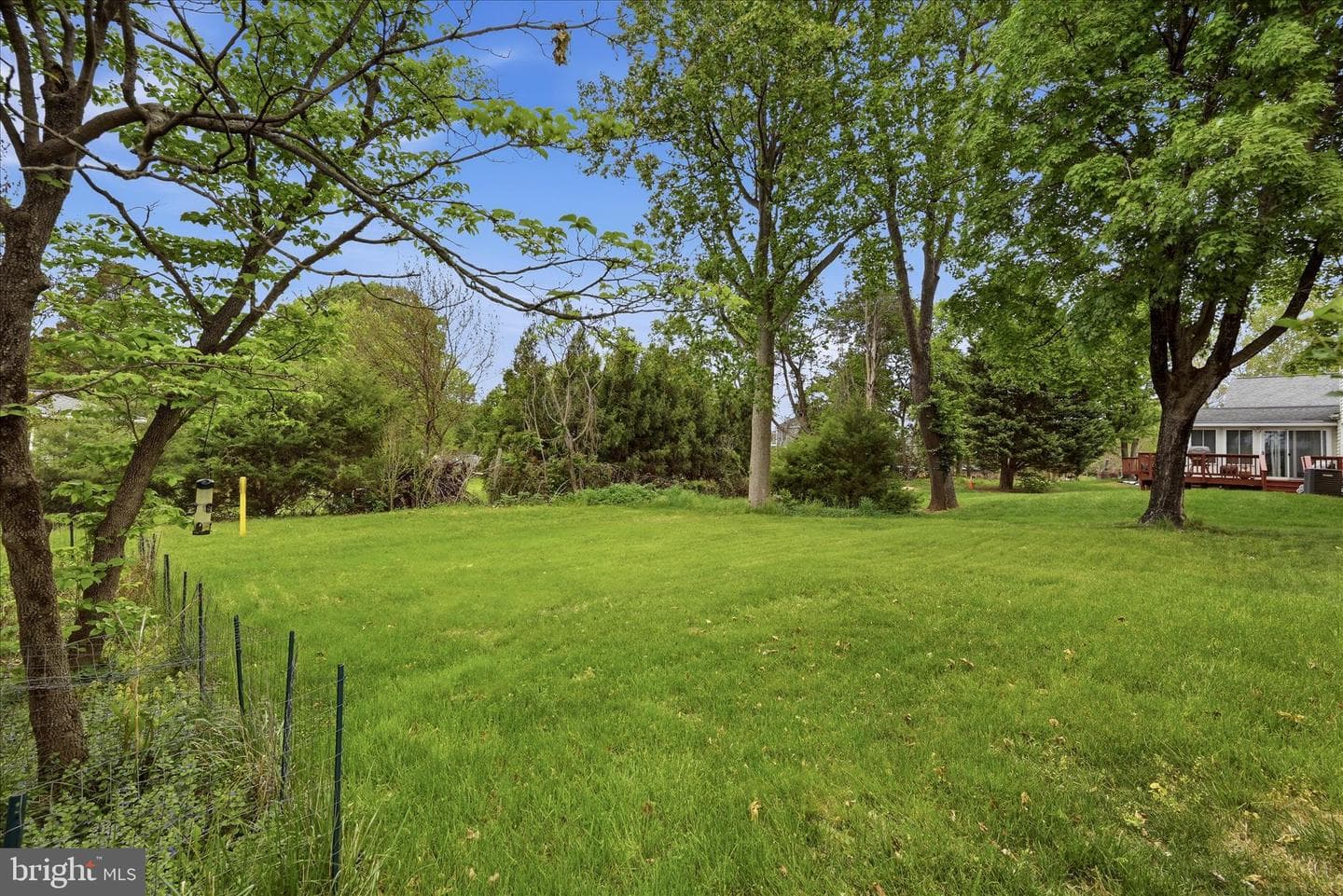 3824 Beech Down Drive photo 32