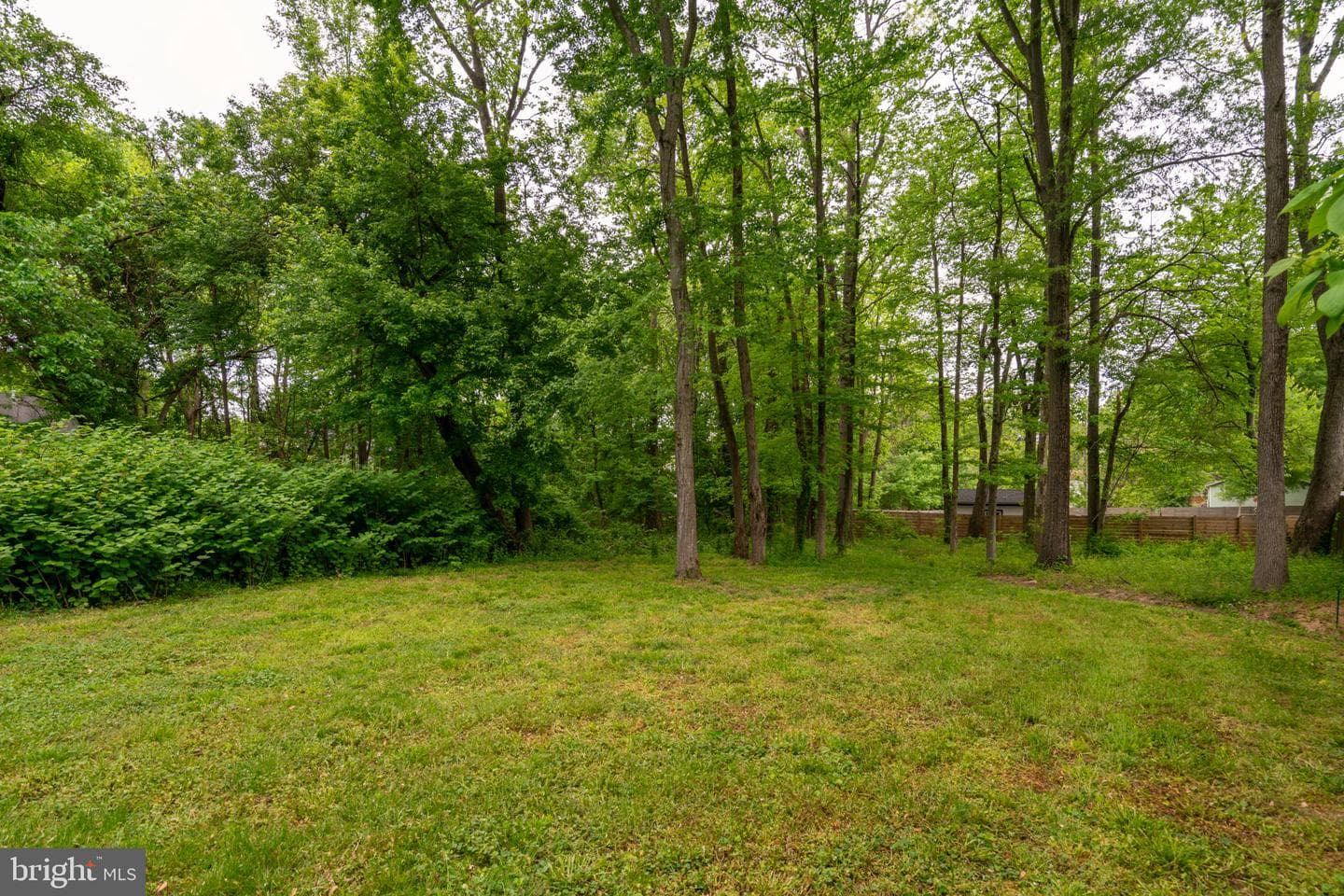 8038 Holland Road photo 59