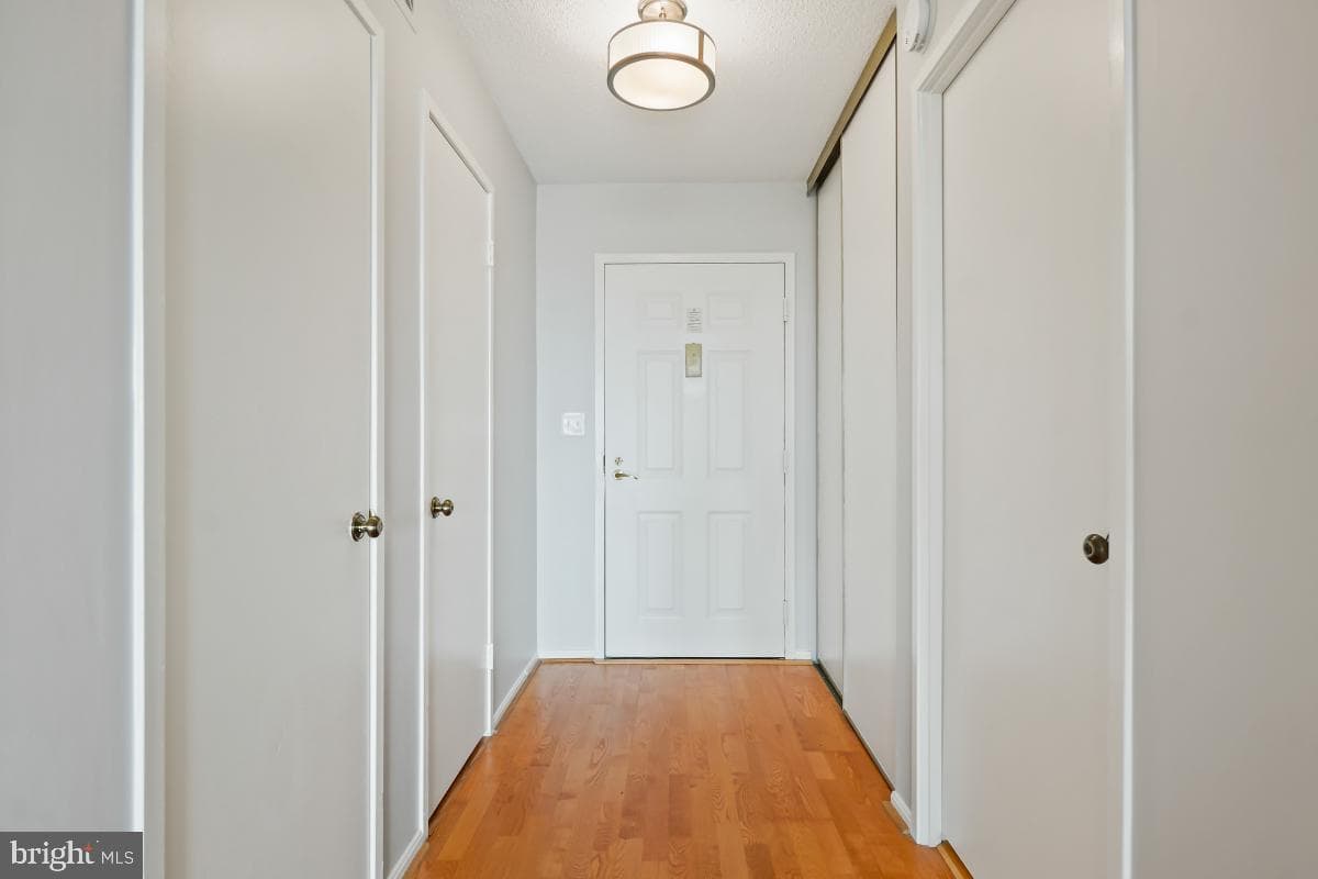 5902 Mount Eagle Drive #1503 photo 3