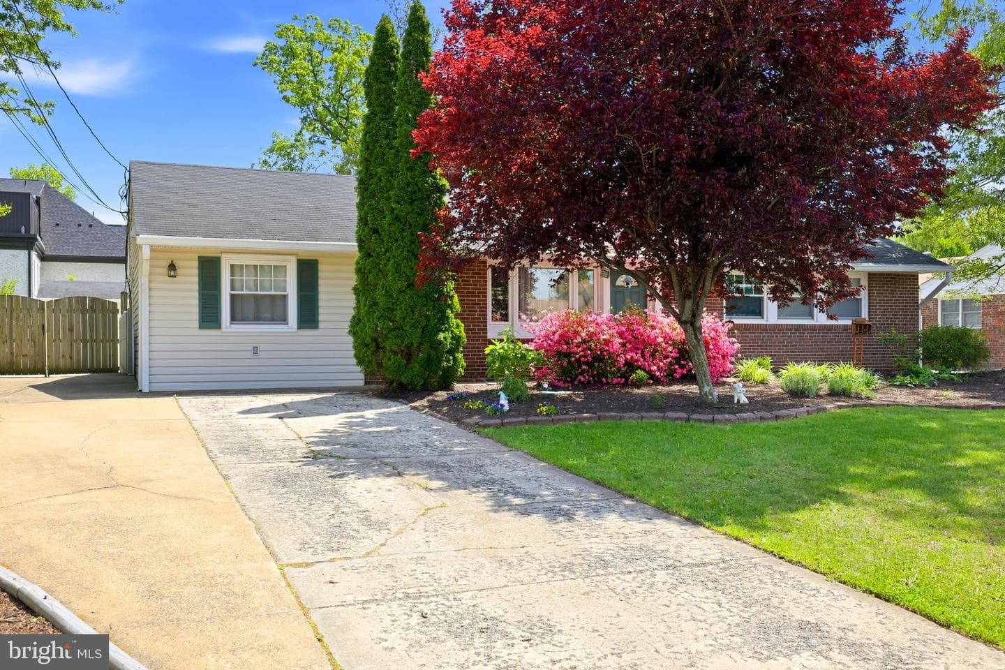 14703 Carlbern Dr photo 4