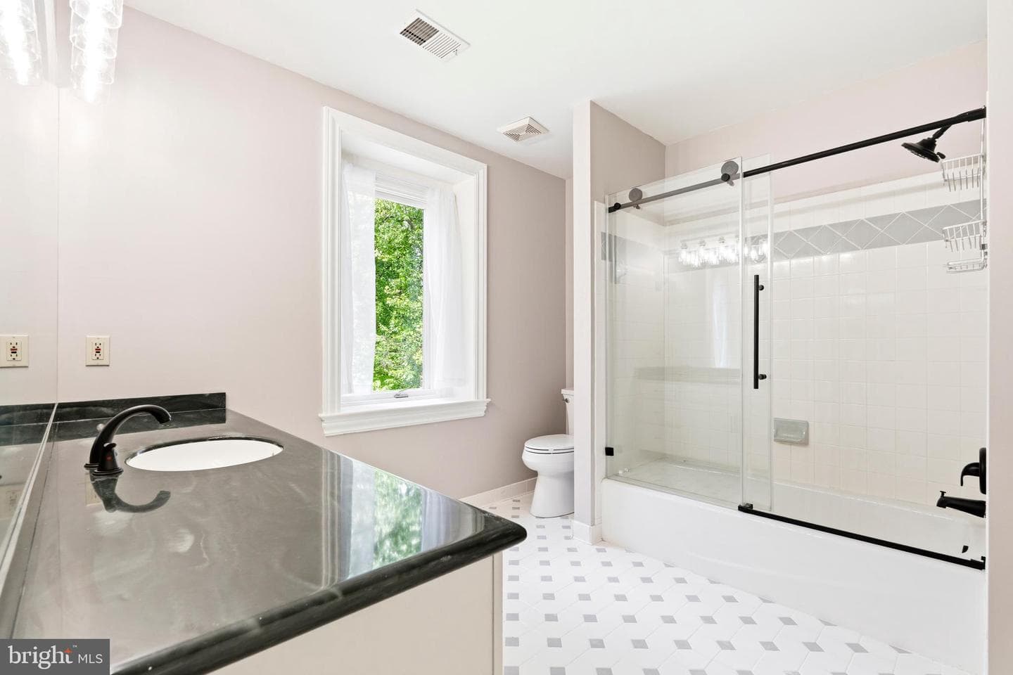11102 Prince Edward Court photo 53