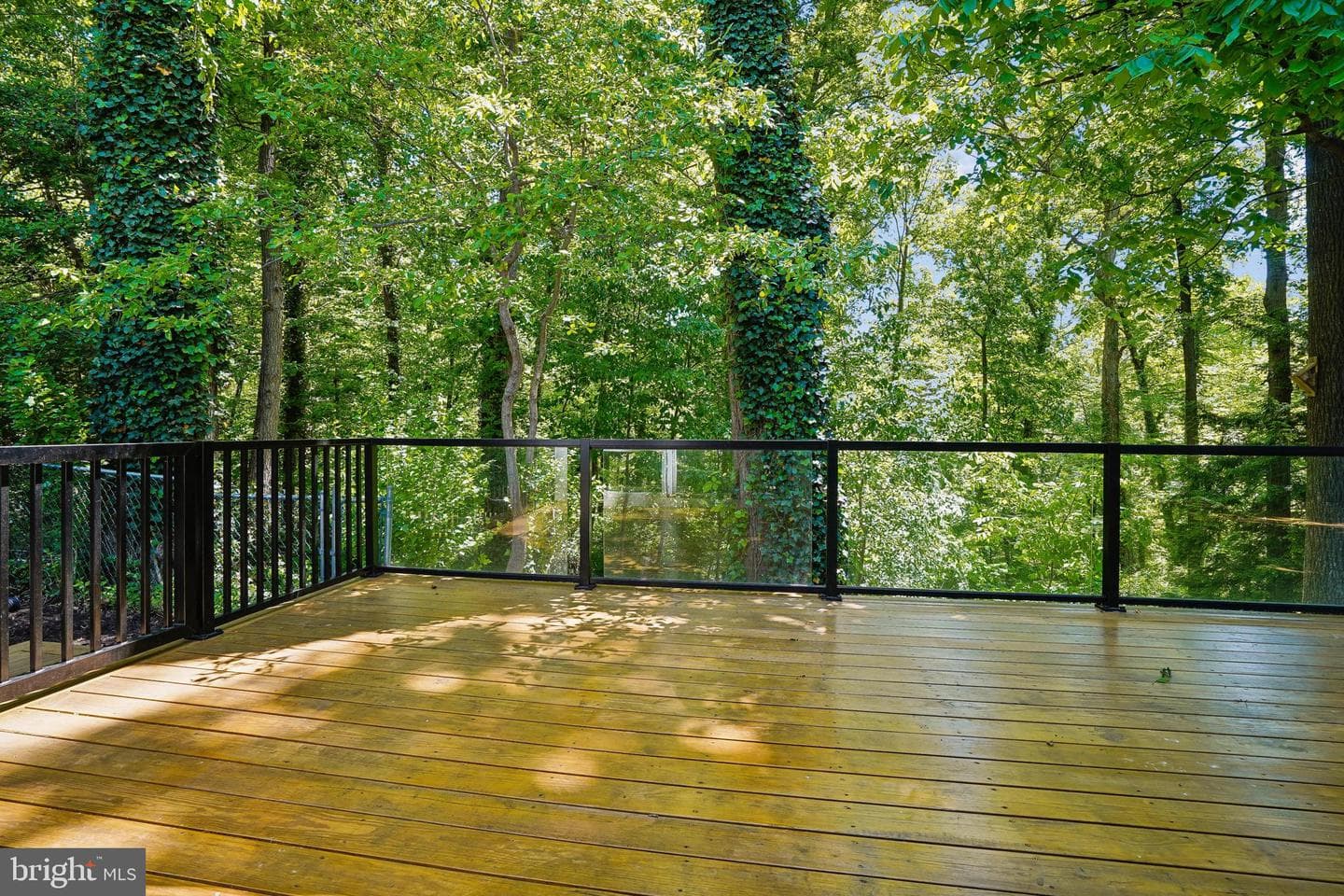 4207 Adrienne Drive photo 51