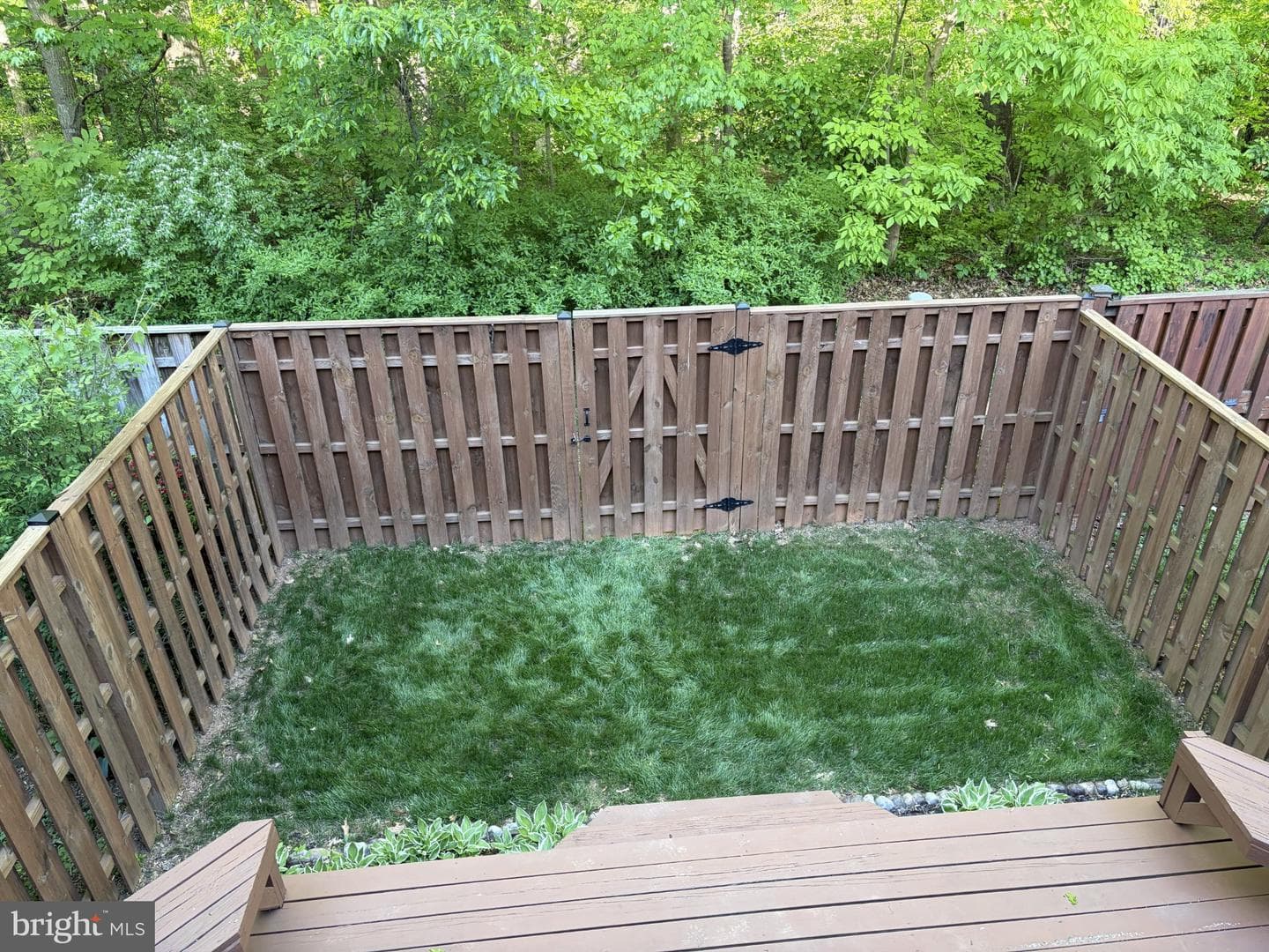 9053 Armendown Drive photo 3