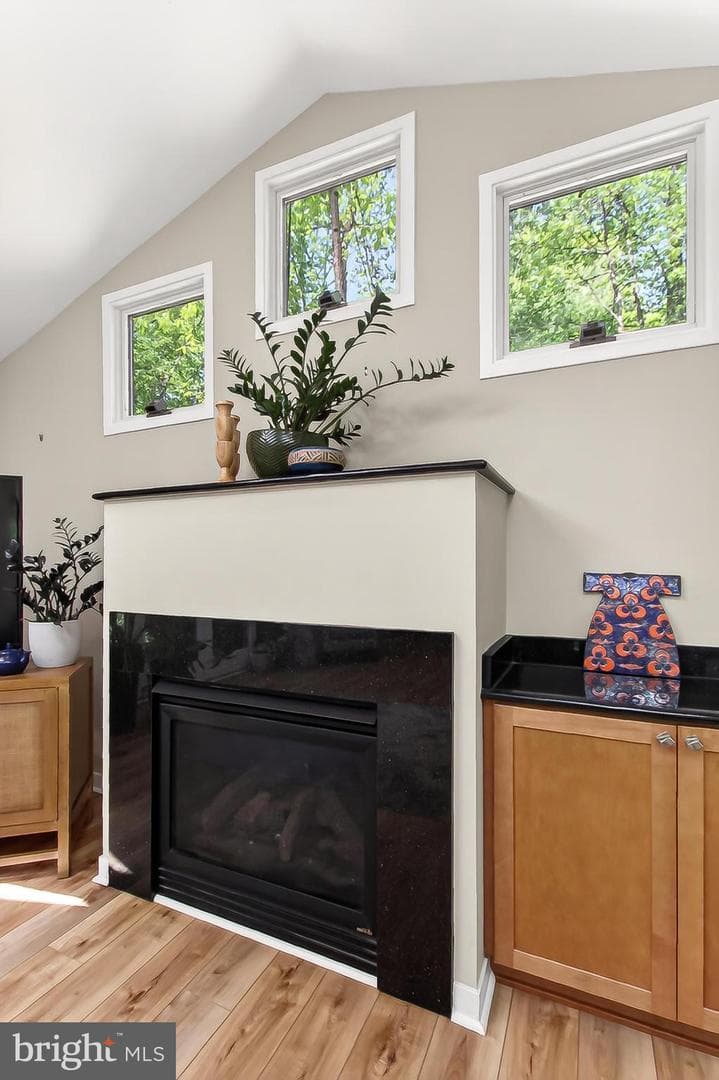 10714 Midsummer Drive photo 18