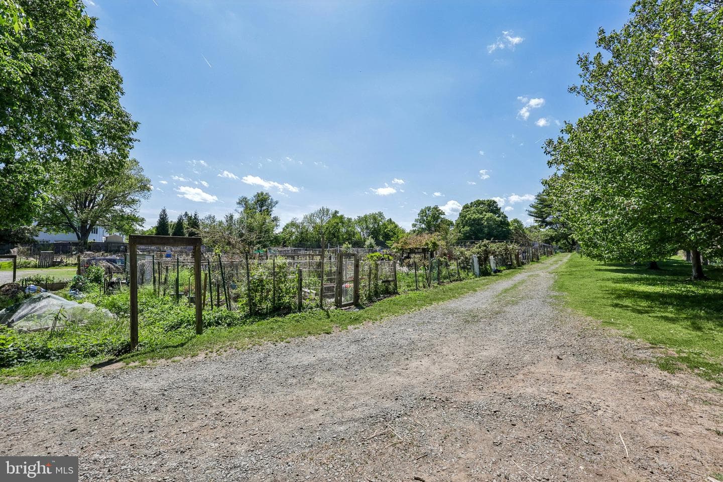 7008 Hamel Hill Court photo 119