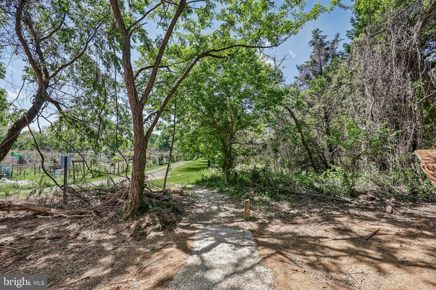 7008 Hamel Hill Court photo 120
