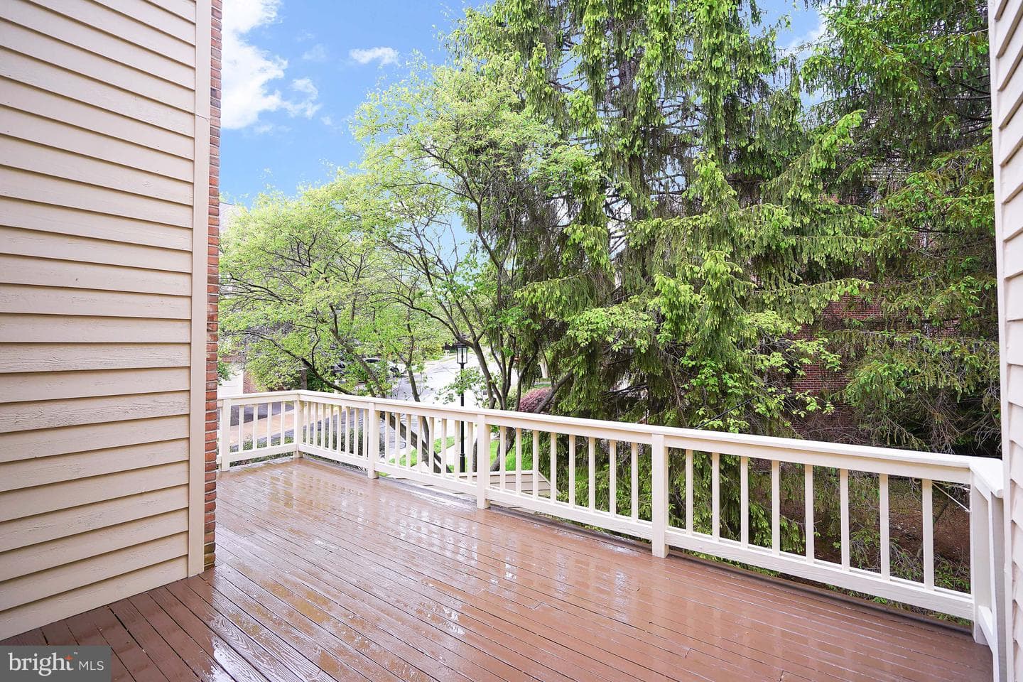 11538 Hemingway Drive photo 23