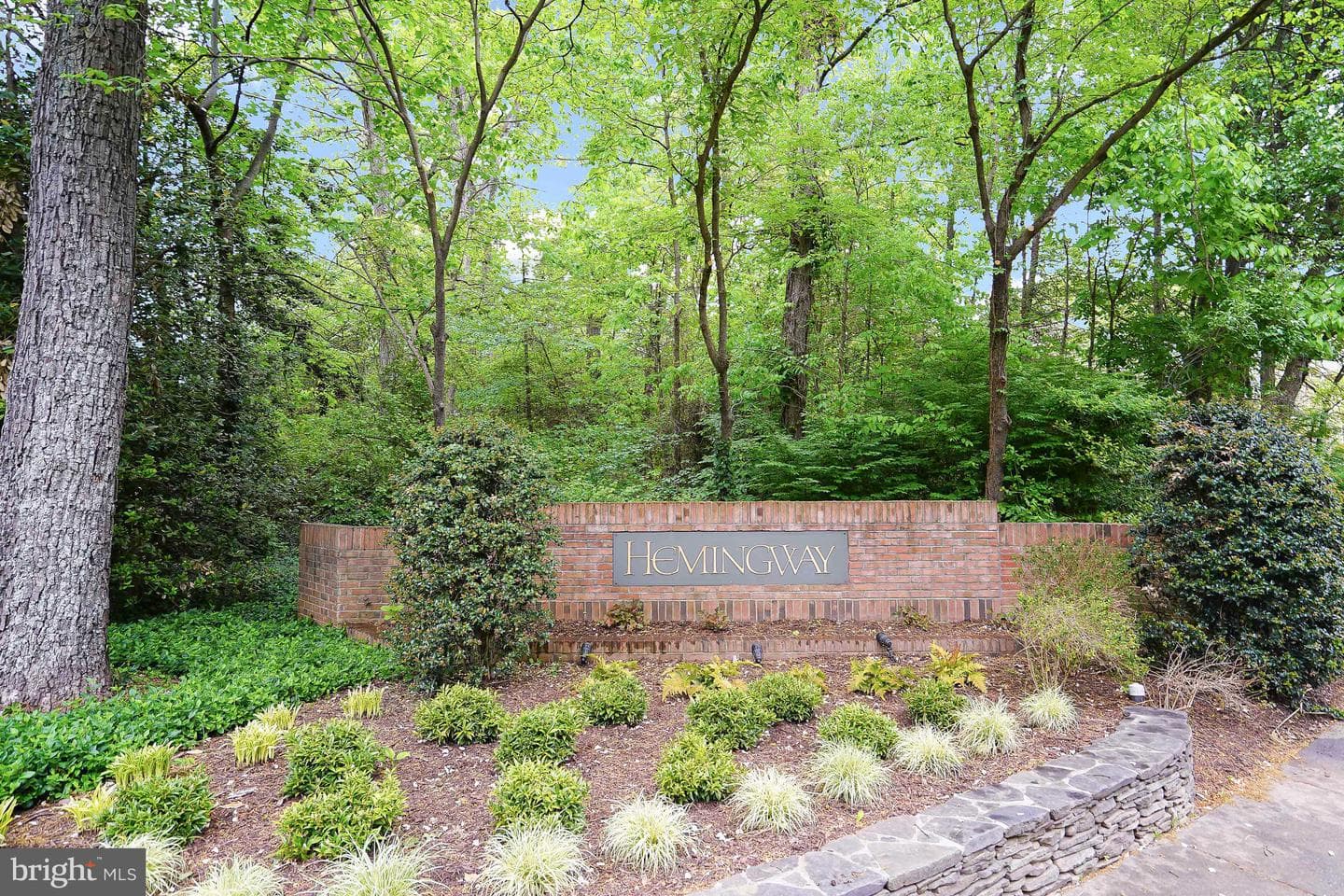 11538 Hemingway Drive photo 37