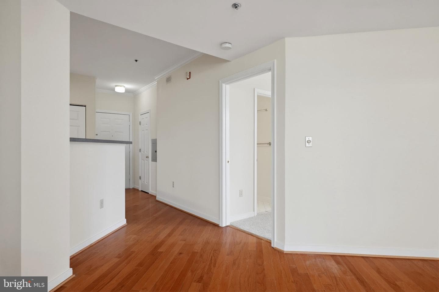 1625 International Drive #316 photo 14