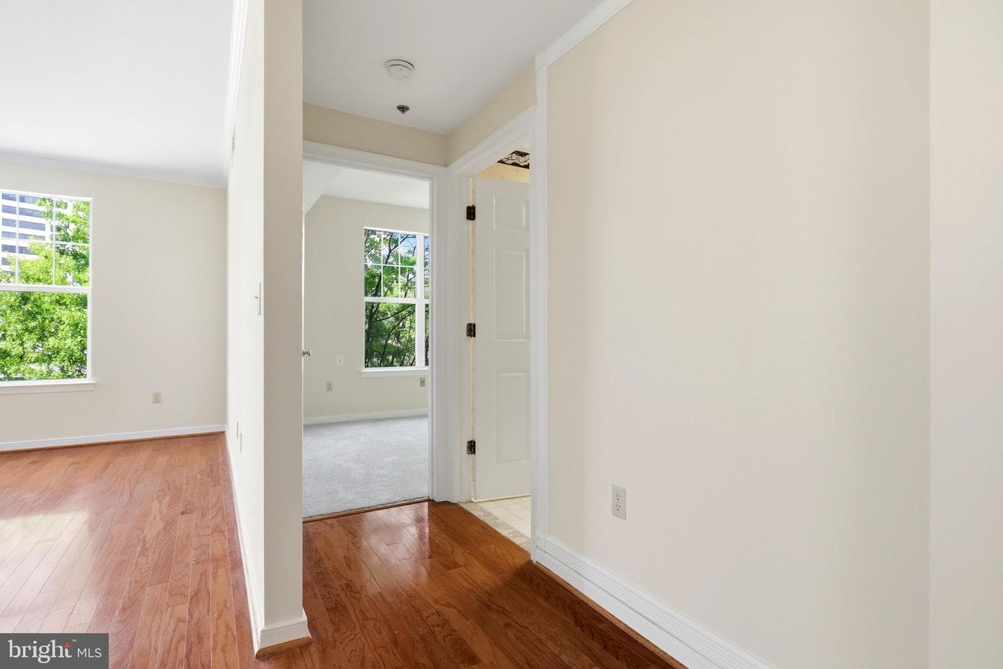 1625 International Drive #316 photo 15