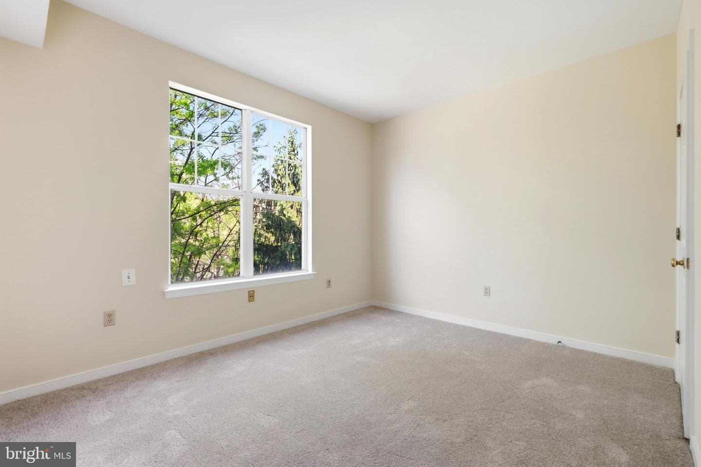 1625 International Drive #316 photo 16