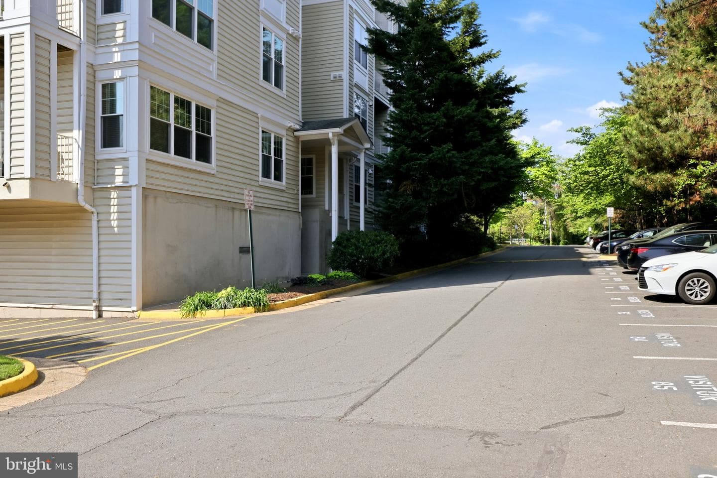 1625 International Drive #316 photo 25