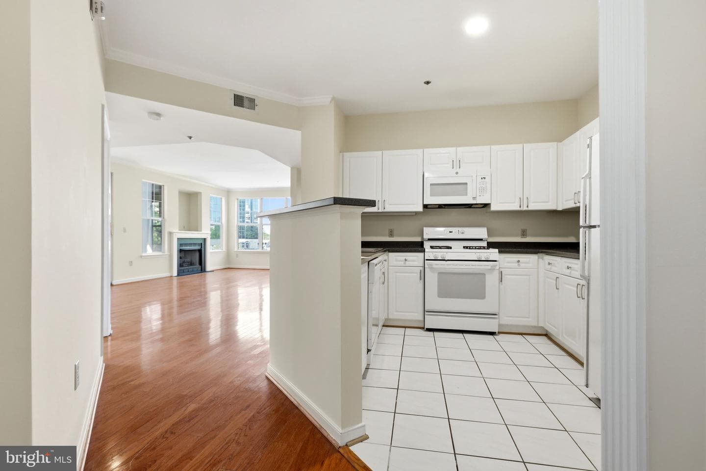 1625 International Drive #316 photo 8