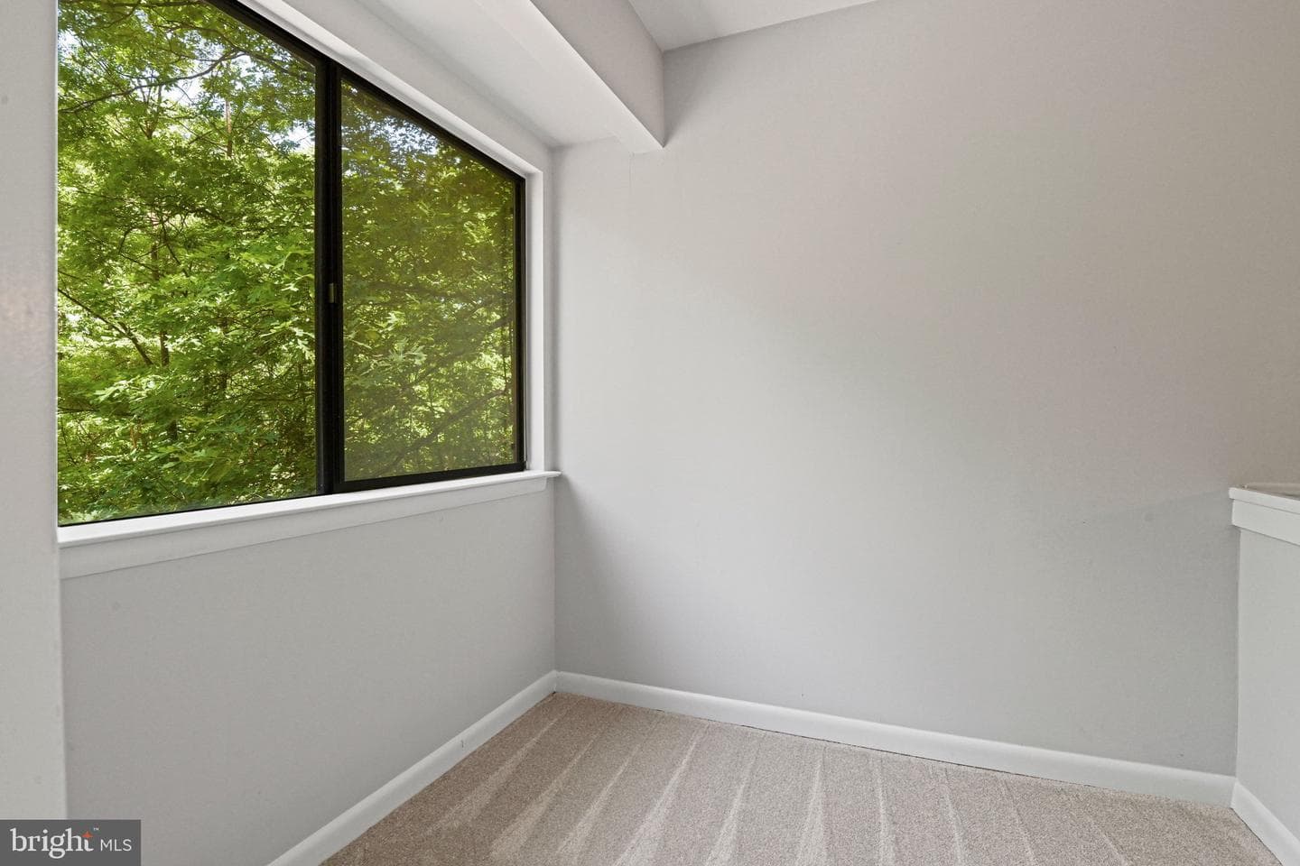12001 Insha Court photo 20
