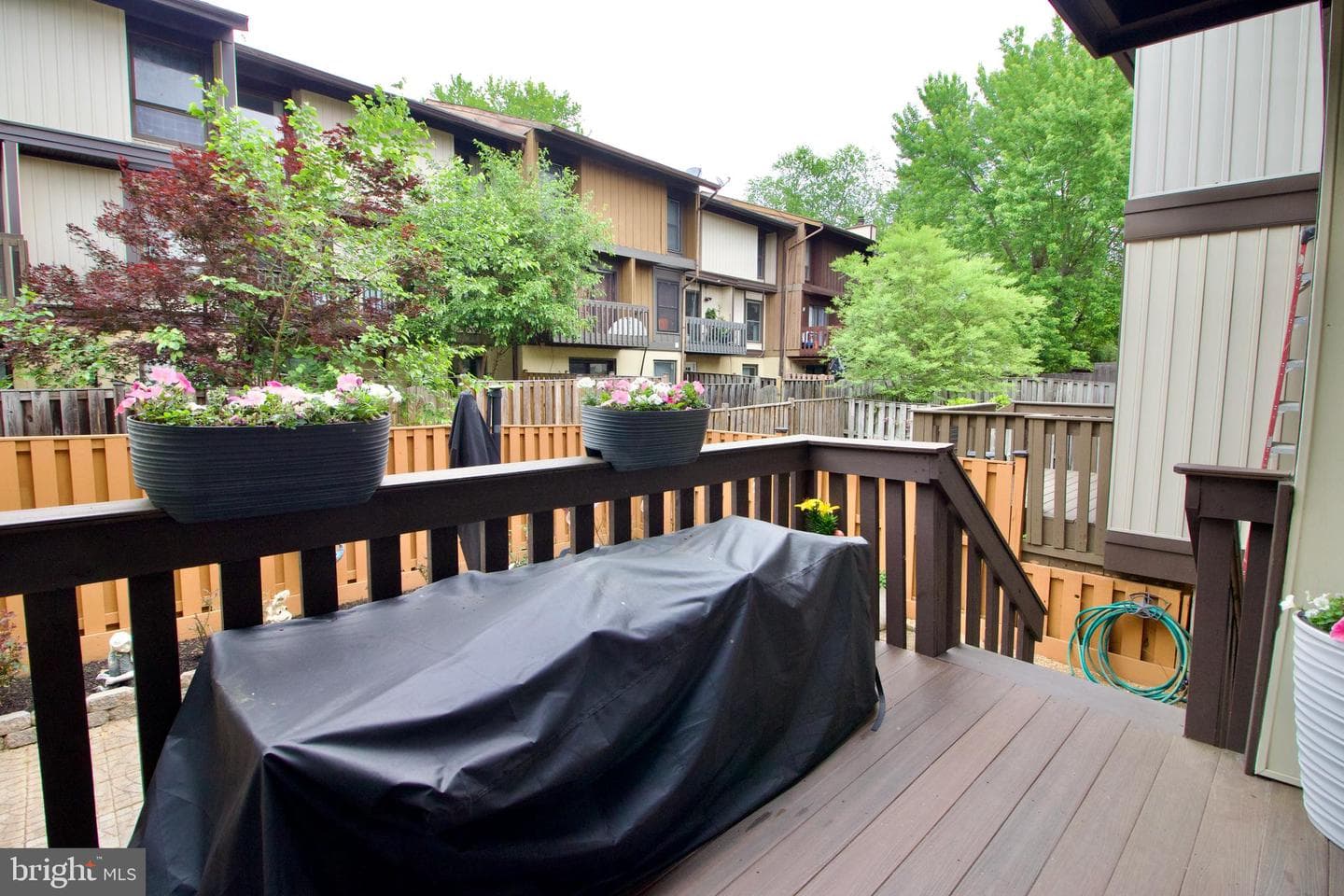 4408 Elan Court photo 3
