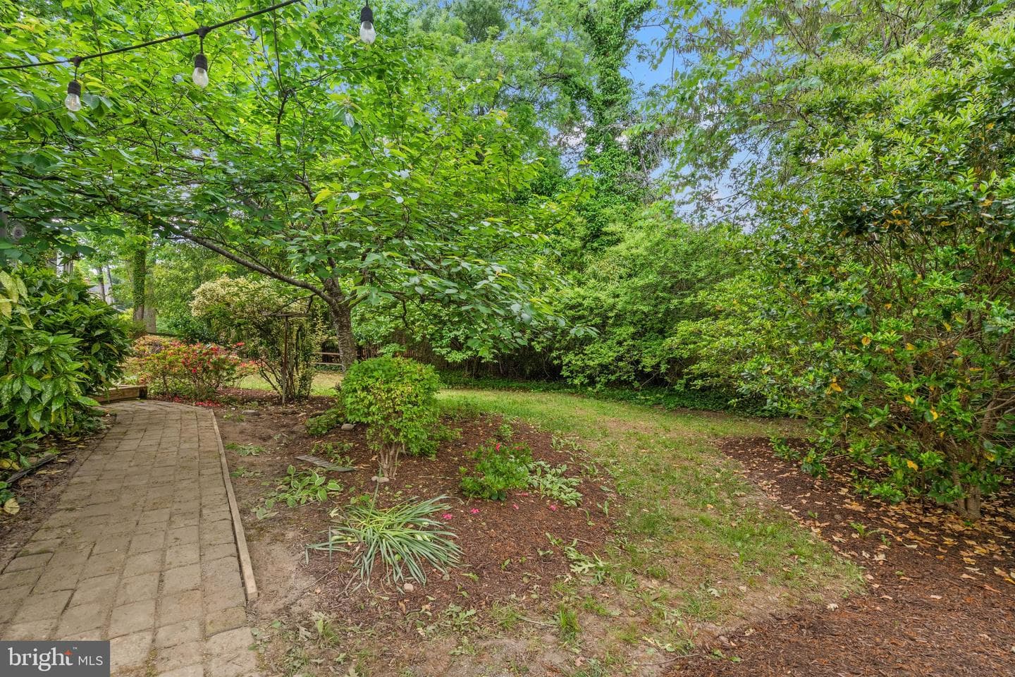 1920 Windmill Lane photo 6