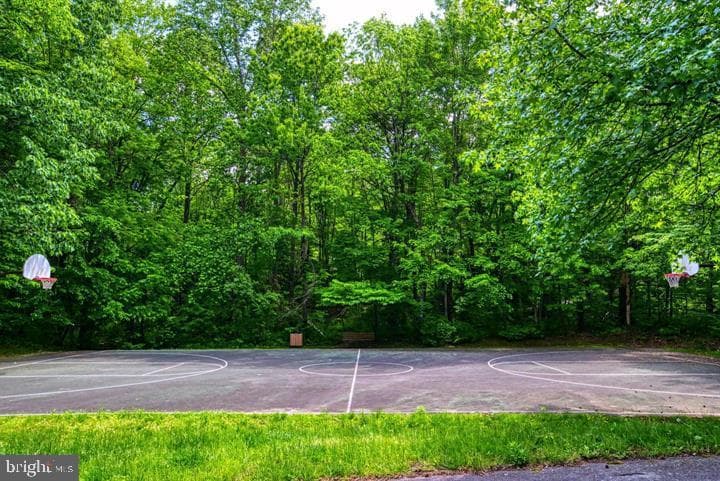 11711 Summerchase Circle photo 61