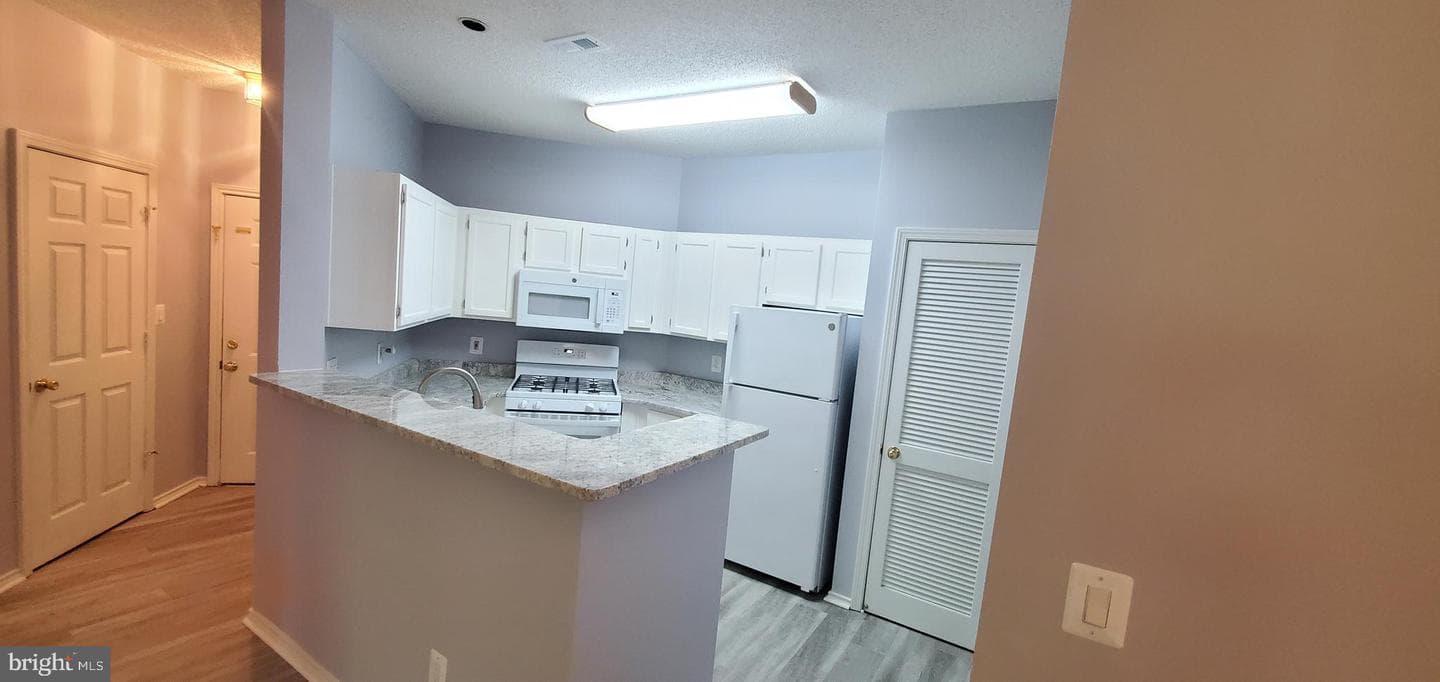 4417 Fair Stone Drive #303 photo 4