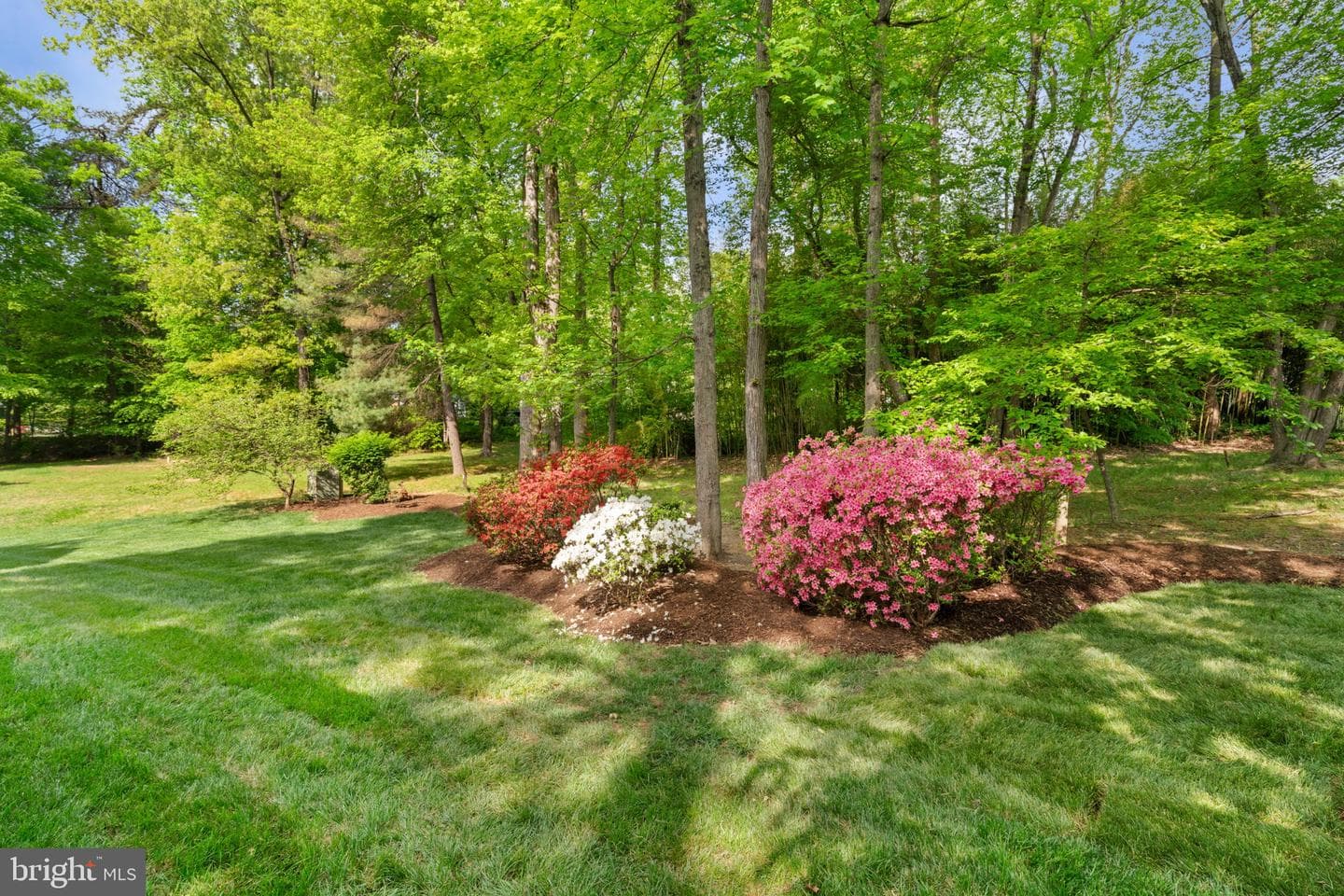 4106 Yerkes Place photo 47