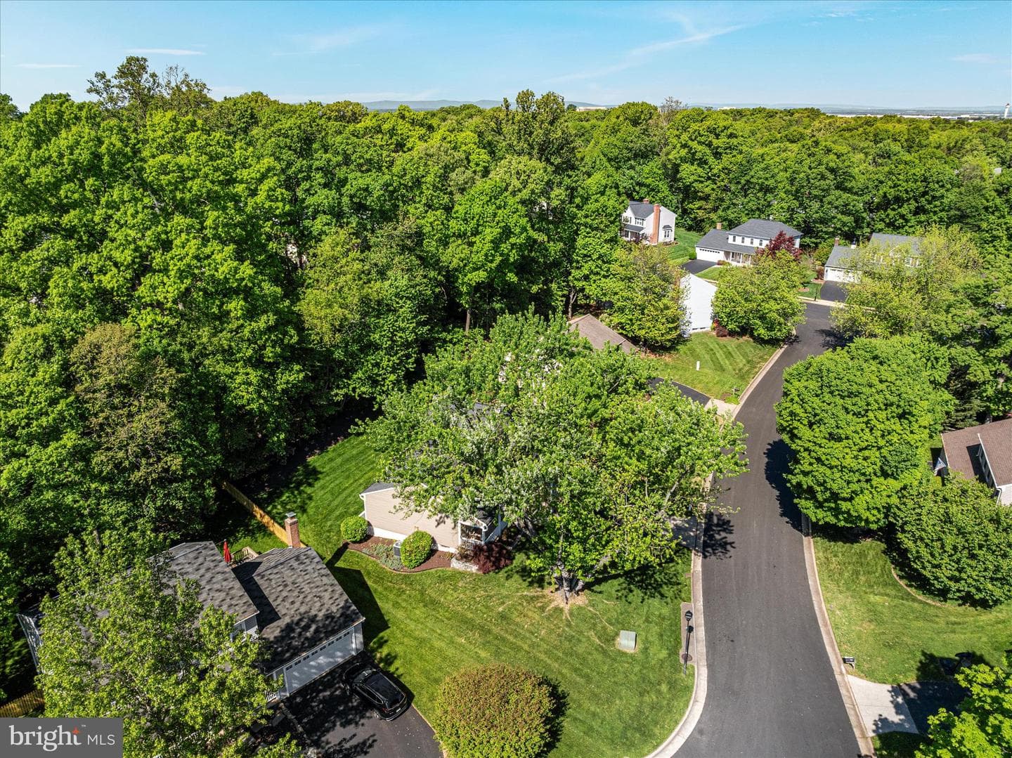 13117 Tingewood Court photo 57