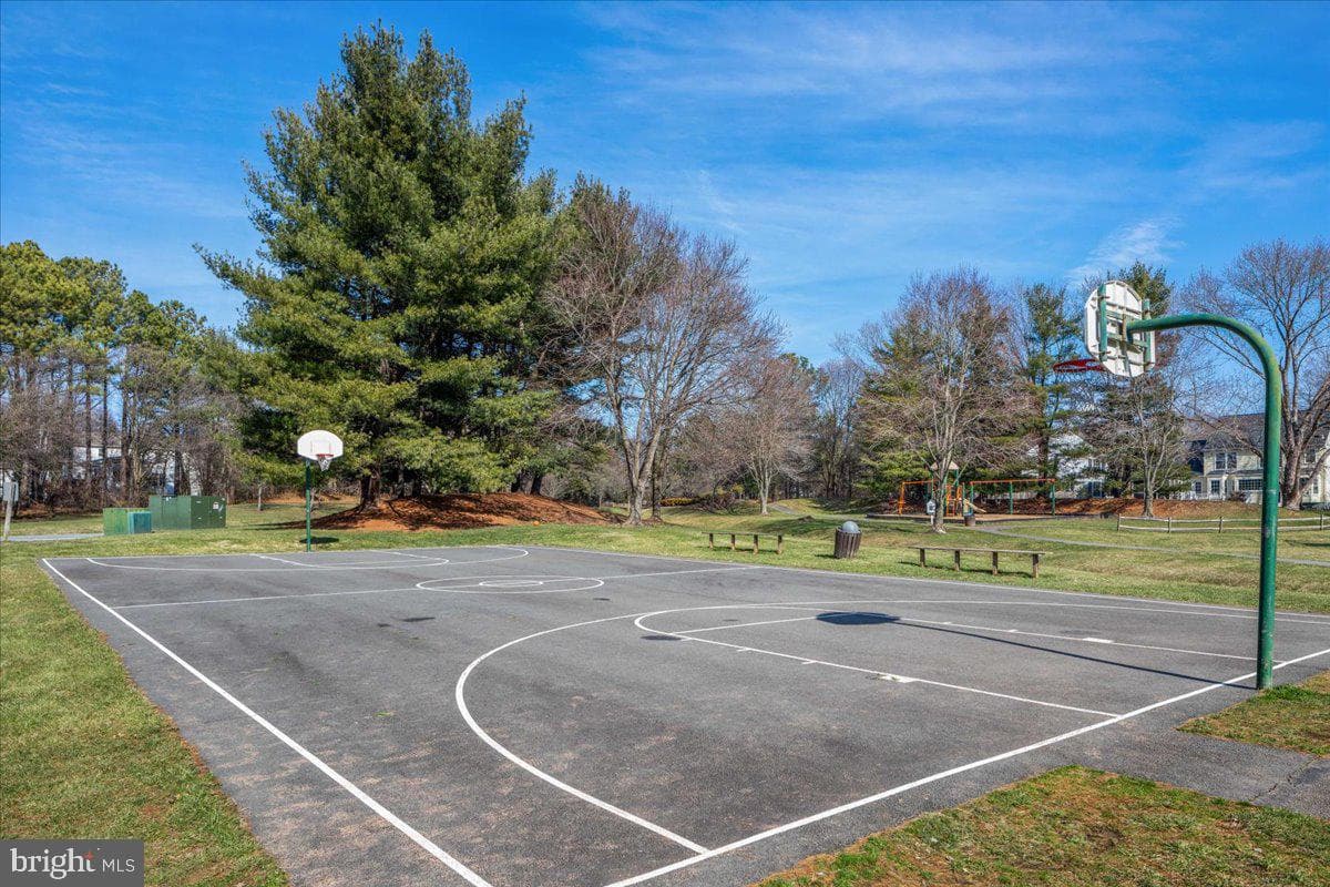 13117 Tingewood Court photo 69