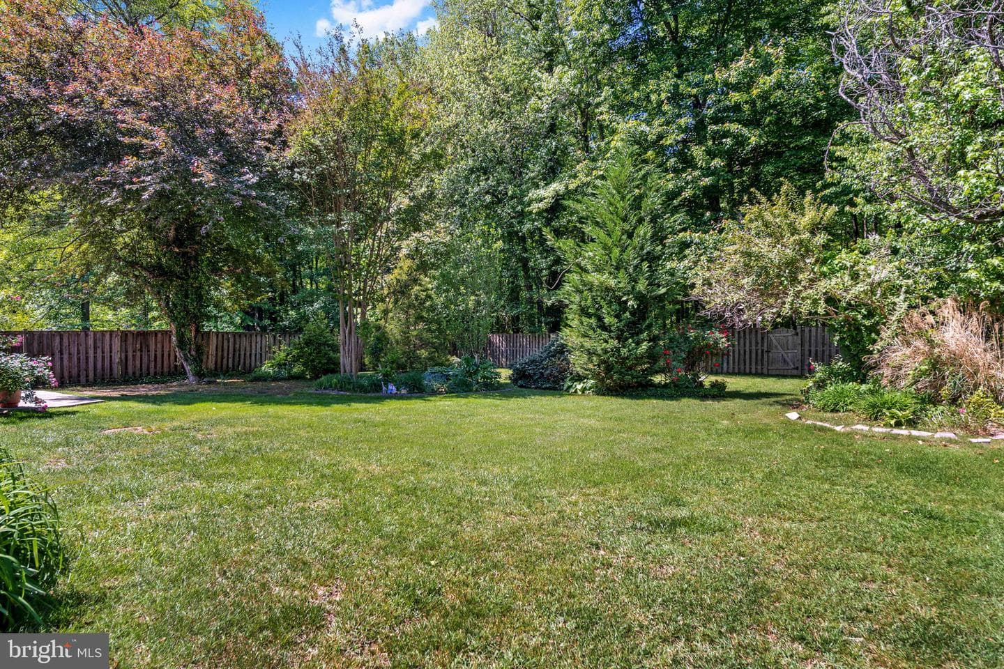 8114 Orville Street photo 65