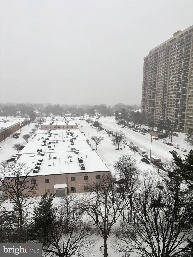 3713 S George Mason Drive #1005 photo 31