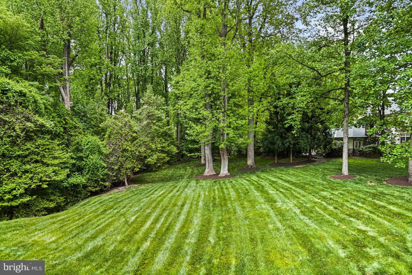 1109 Nielson Court photo 72