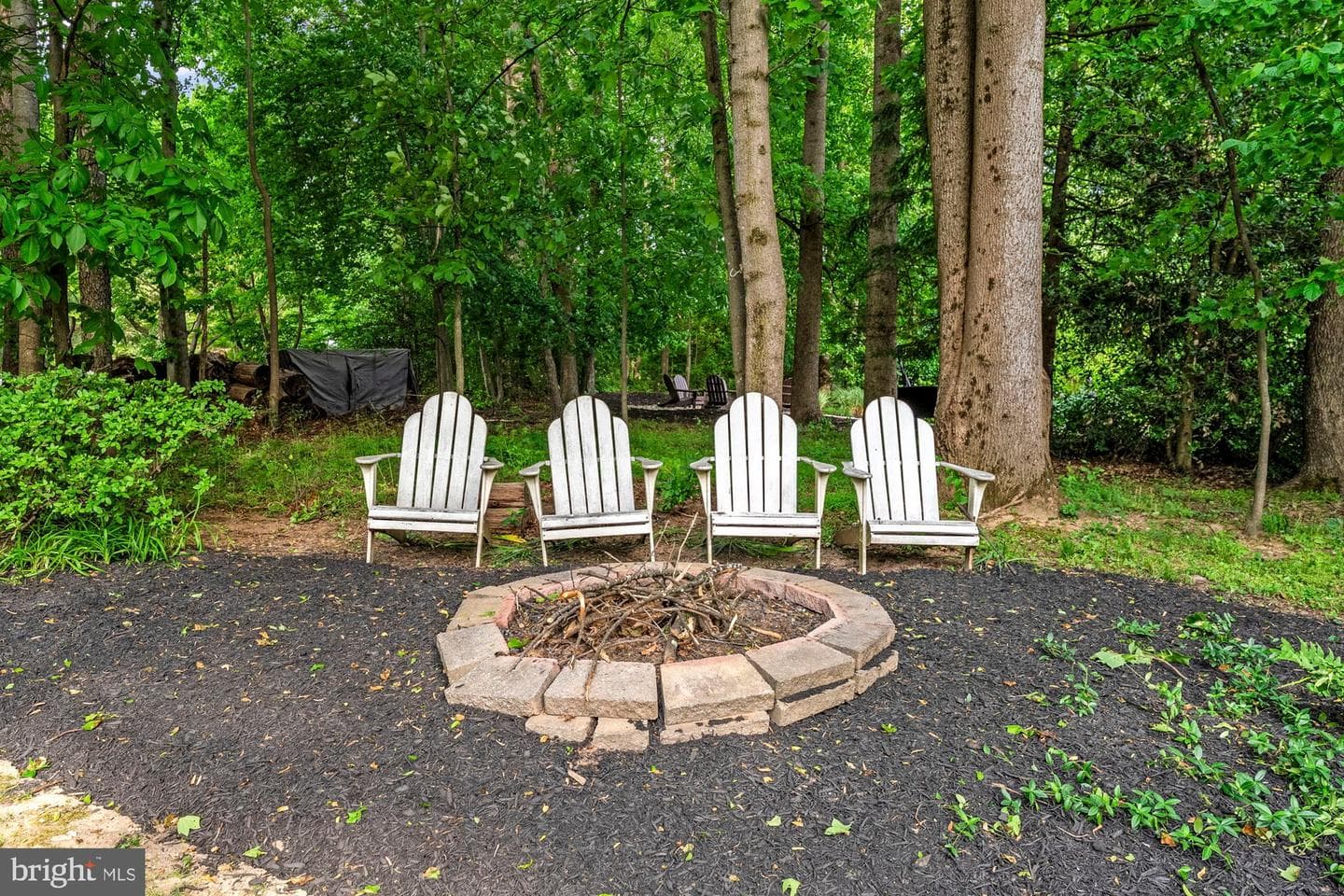 3501 Birdsboro Drive photo 115