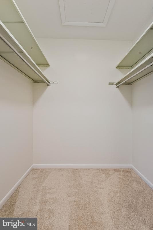 11814 Blue Spruce Road photo 29