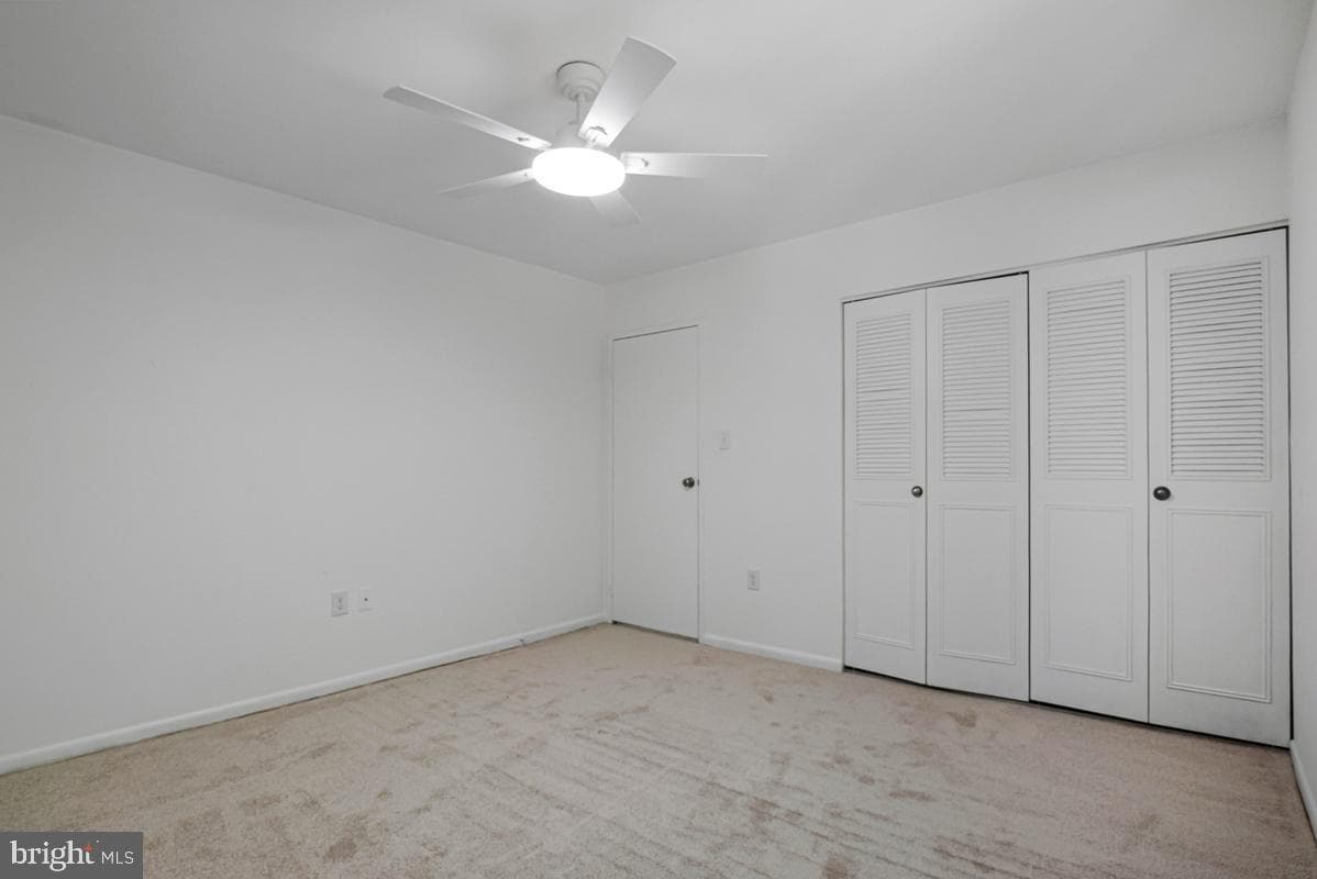 11814 Blue Spruce Road photo 37