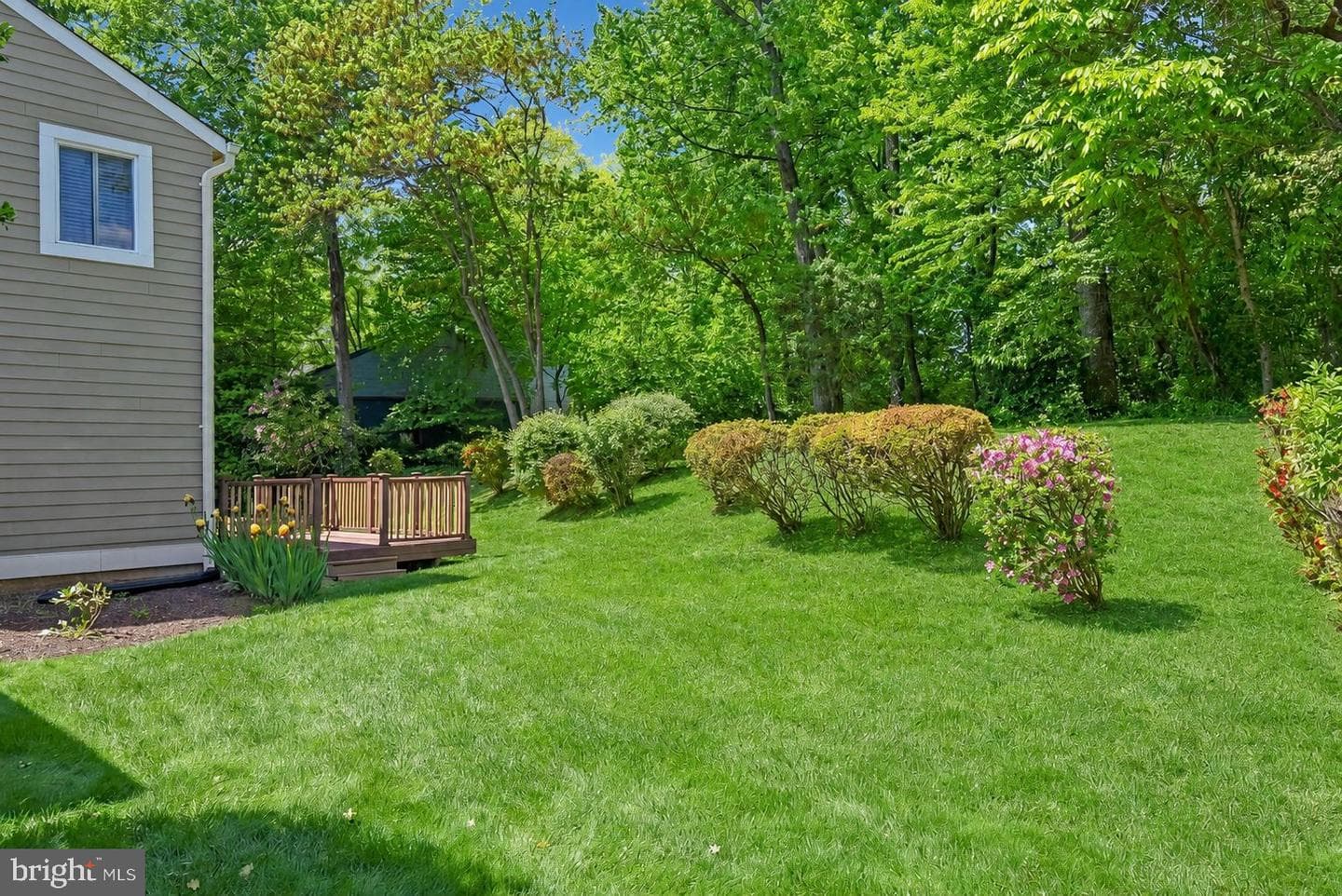 11814 Blue Spruce Road photo 51