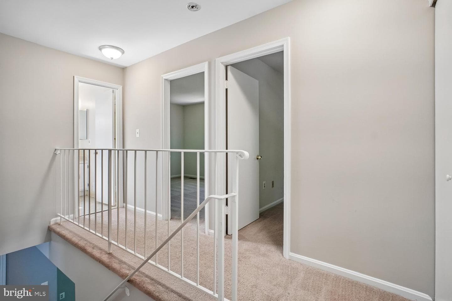 10051 Downeys Wood Court photo 14