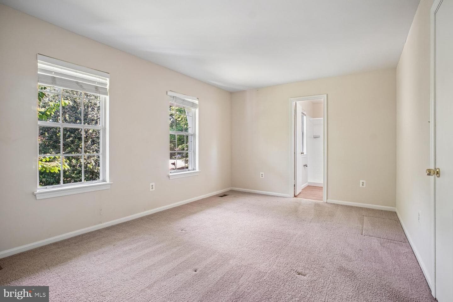 10051 Downeys Wood Court photo 15