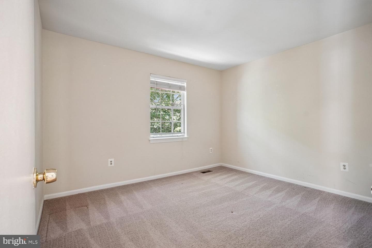 10051 Downeys Wood Court photo 18