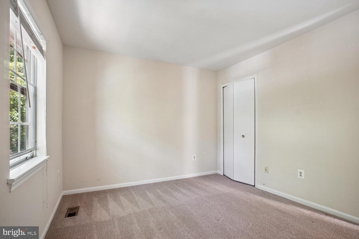 10051 Downeys Wood Court photo 19