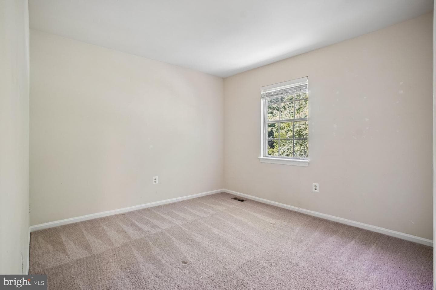 10051 Downeys Wood Court photo 21