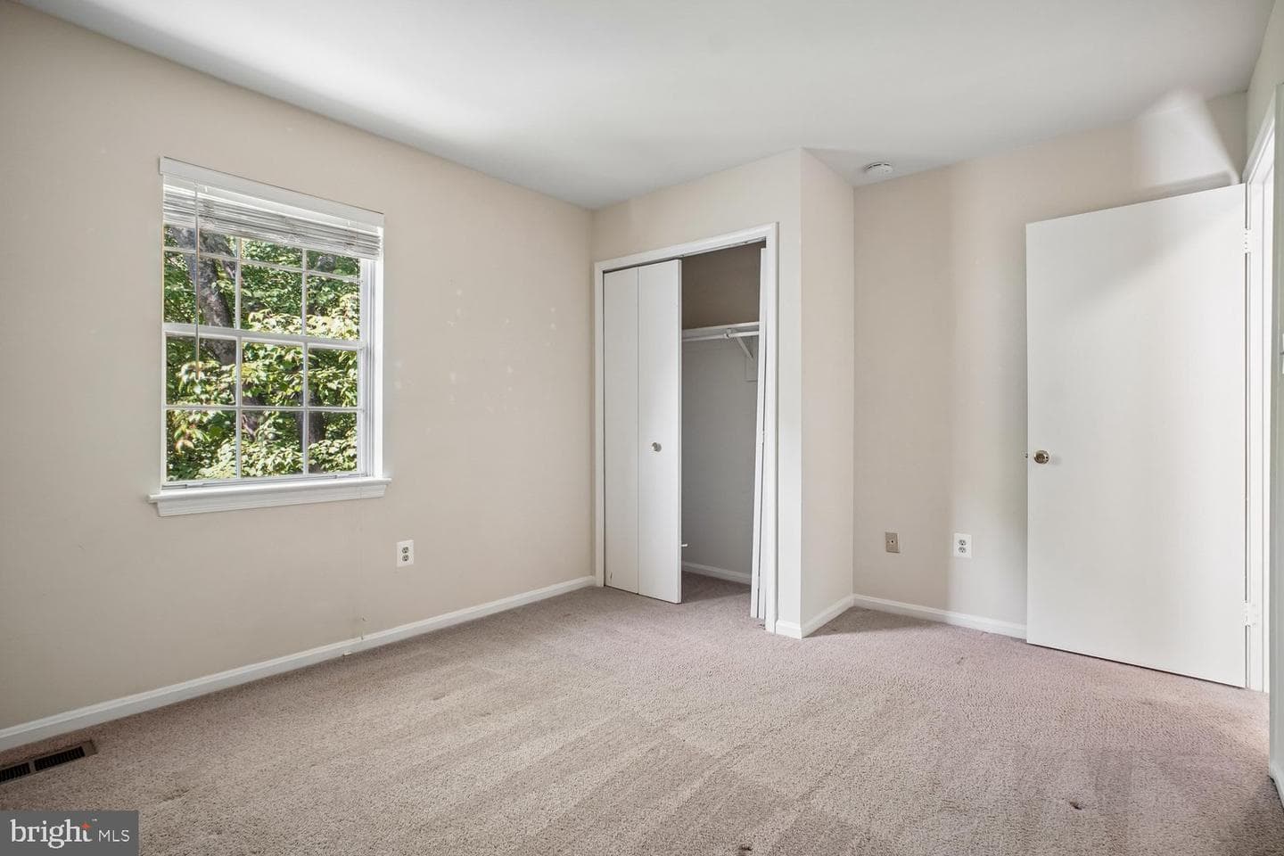 10051 Downeys Wood Court photo 22