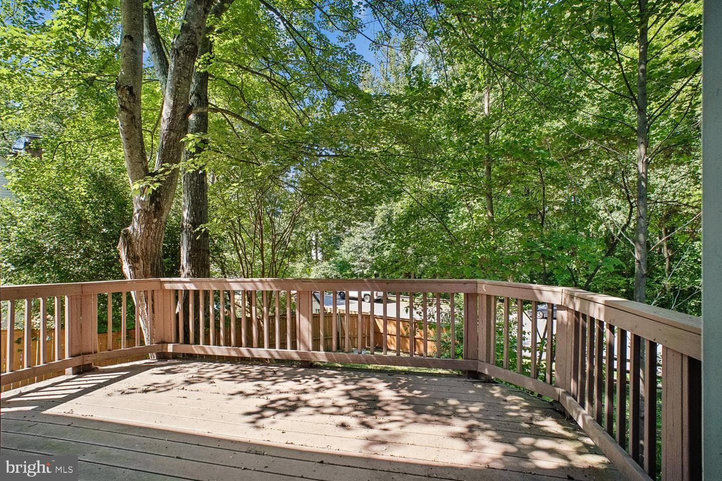 10051 Downeys Wood Court photo 29